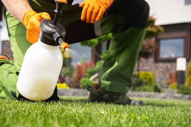 Best Pest Control Treatment  in West Portsmouth, OH