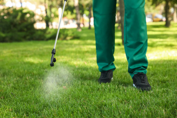 Best Pest Inspection Near Me  in West Portsmouth, OH