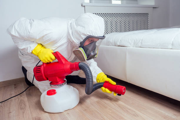Best Affordable Pest Control Services  in West Portsmouth, OH