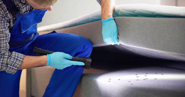 Pest Control Cost in West Portsmouth, OH